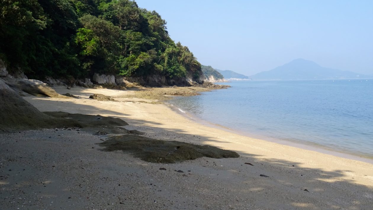 讃州投げ師の釣るブログ　改　