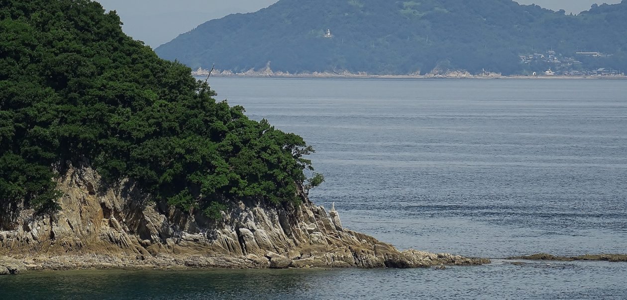 讃州投げ師の釣るブログ　改　